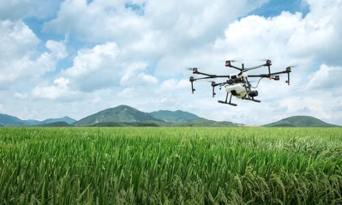Curso Agricultura de Precisión🌱🛰️
